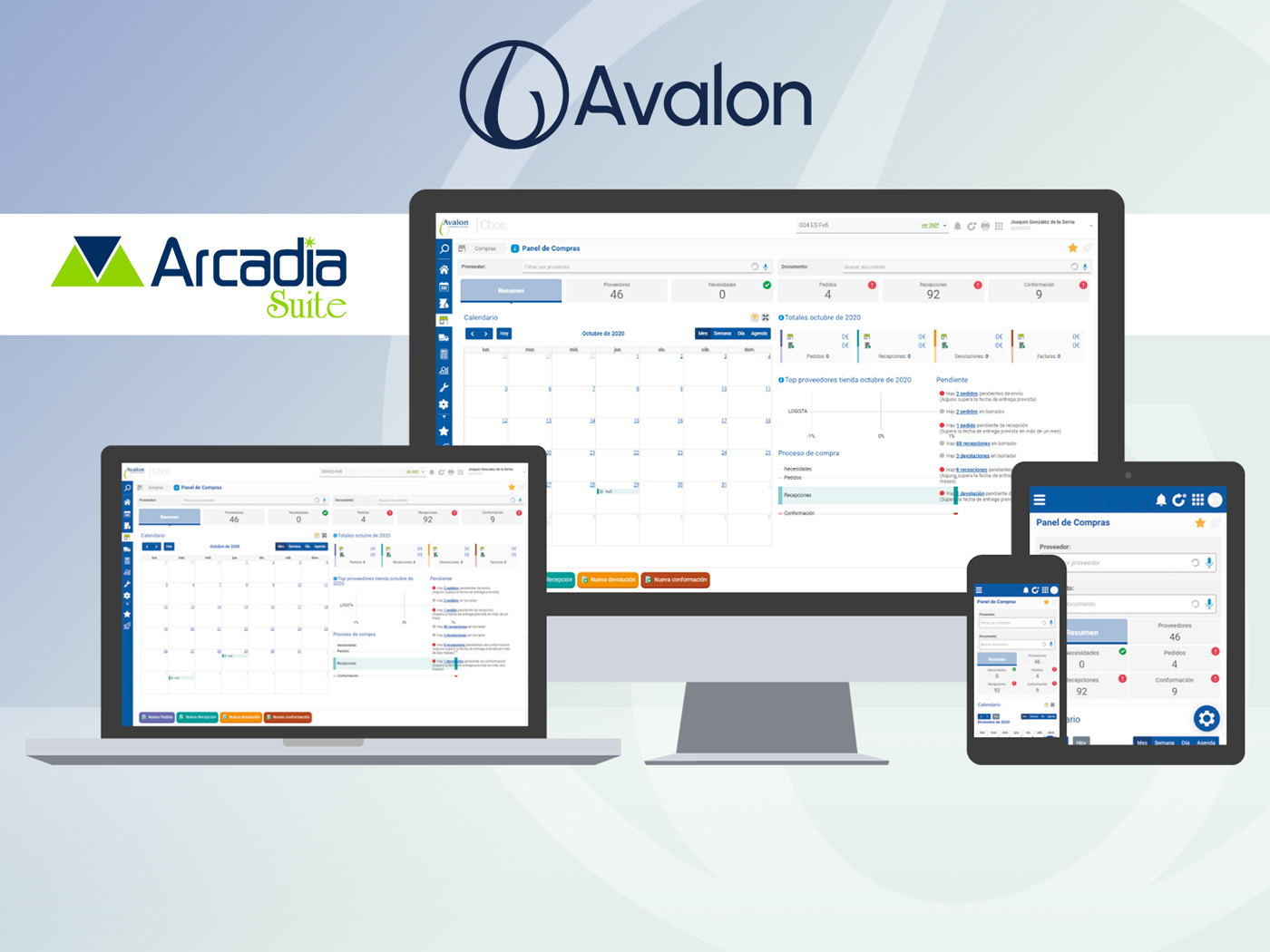 Entrevista Mário Pereira Mobility Plaza