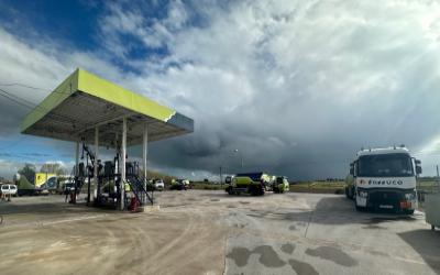 Avalon y Farruco, una alianza de toda la vida